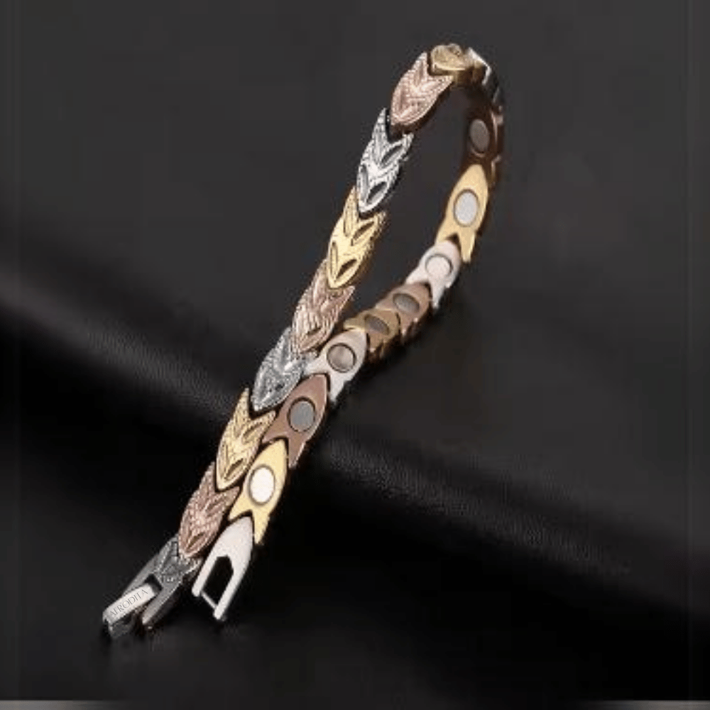 Pulsera Magnética Saludable Titanio con Imanes NdFeB Modelo YSMGB-30