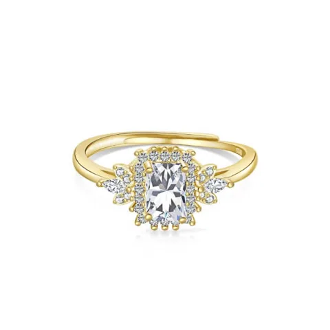 Anillos de Compromiso Redimensionable de Plata Modelo 360