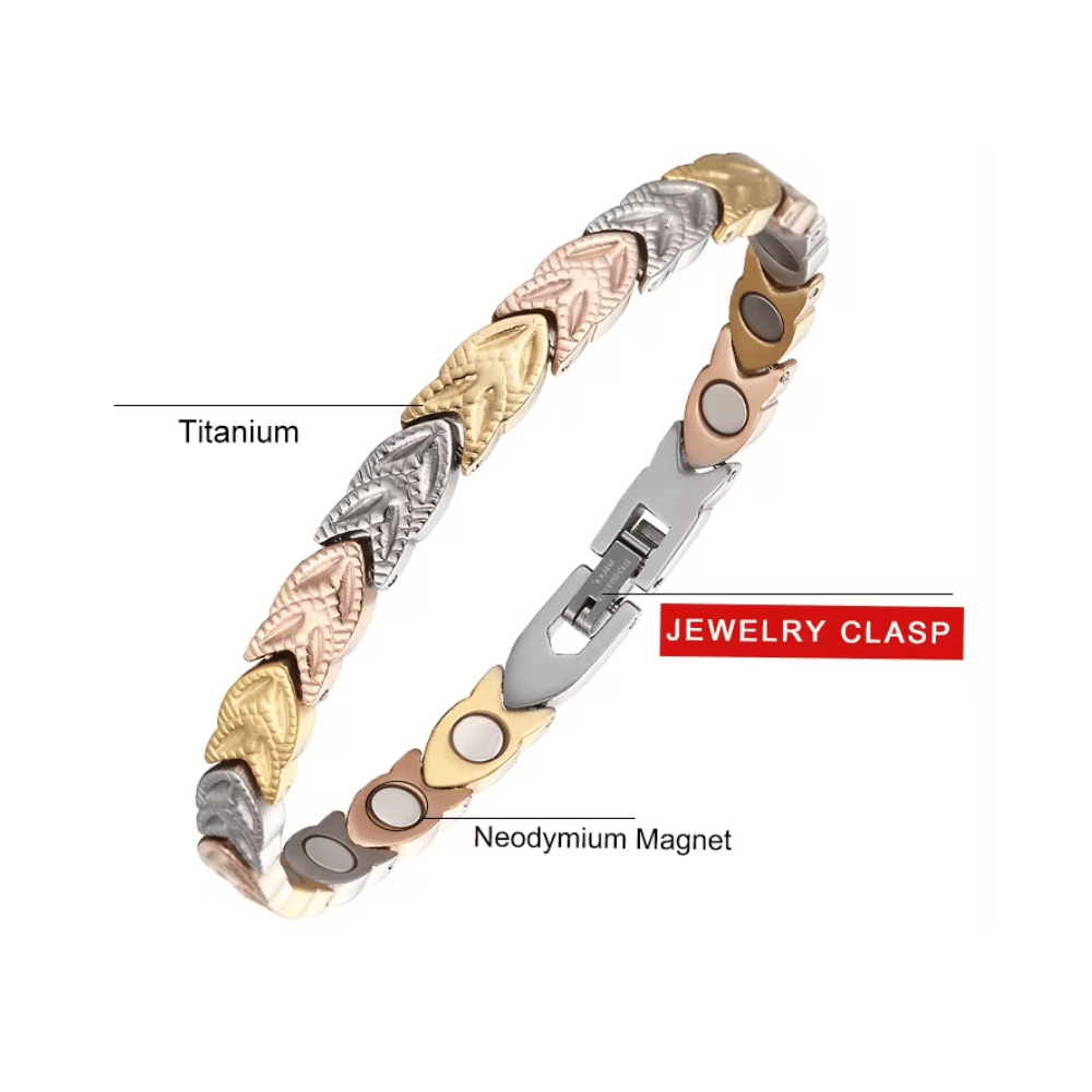 Pulsera Magnética Saludable Titanio con Imanes NdFeB Modelo YSMGB-30